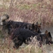Bajka met Auran en Zapp