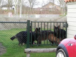 samen in het tuintje