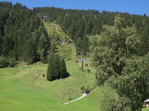 P8174917