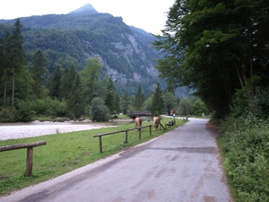 P8164878