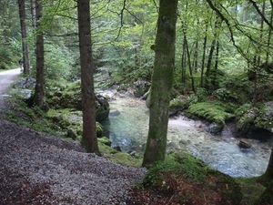 P8164891