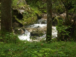 P8164892