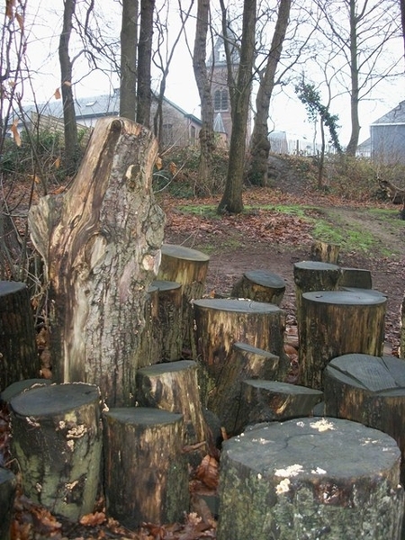 016-Pastoriebos in Roosdaal