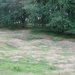 DSC07947