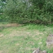 DSC07952