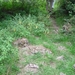 DSC07964