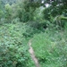 DSC07965