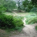 DSC07977