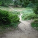 DSC07978