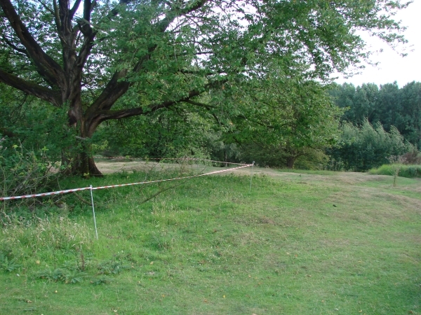 DSC07946