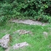 DSC07963