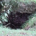 DSC07967