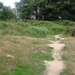 DSC07969