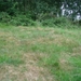 DSC07970