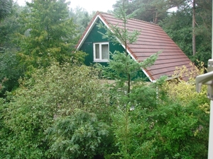 DSC08496