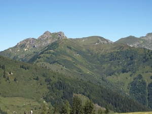 P8184997