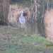 Zandhoven met Amelberga 003