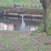 Zandhoven met Amelberga 004