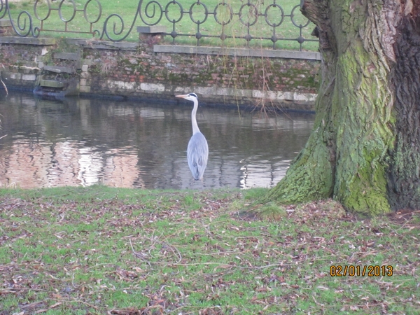 Zandhoven met Amelberga 004