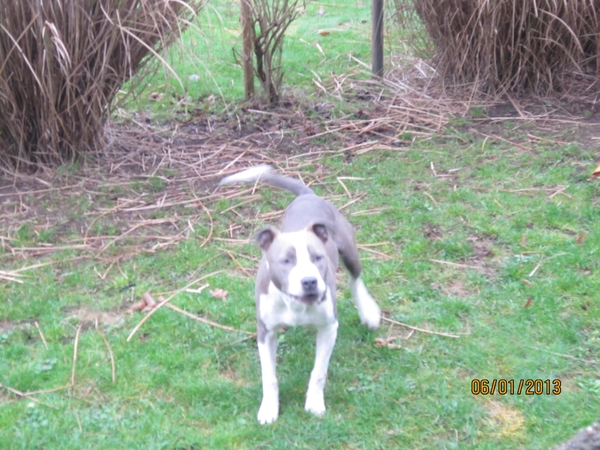Zandhoven met Amelberga 012