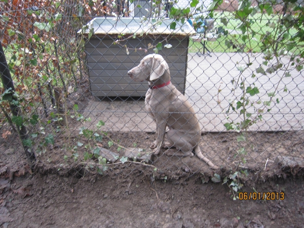 Zandhoven met Amelberga 015