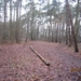 Zandhoven met Amelberga 016