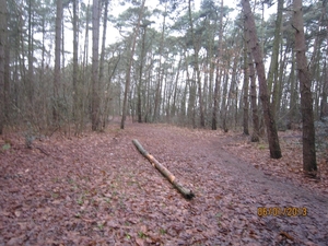 Zandhoven met Amelberga 016