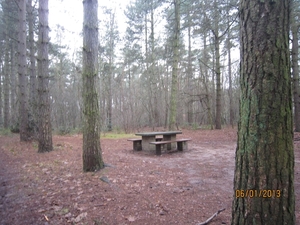 Zandhoven met Amelberga 017