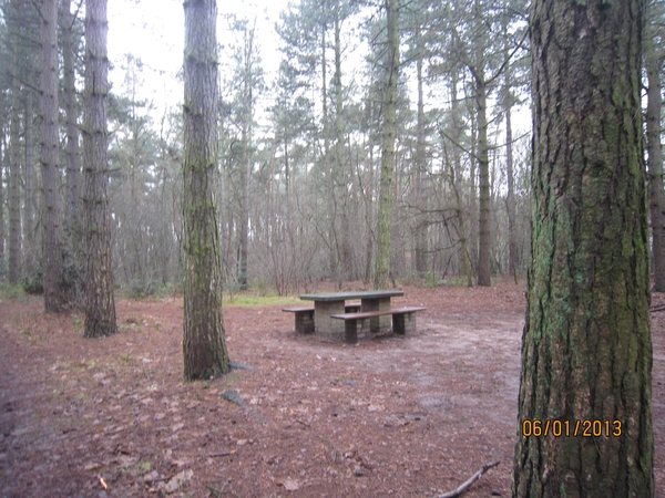 Zandhoven met Amelberga 017