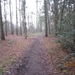Zandhoven met Amelberga 018