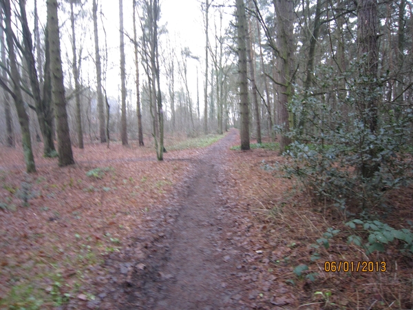 Zandhoven met Amelberga 018