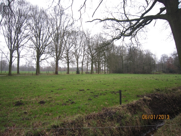 Zandhoven met Amelberga 041