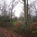 Zandhoven met Amelberga 045