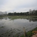 Zandhoven met Amelberga 080