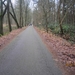 Zandhoven met Amelberga 103