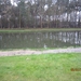 Zandhoven met Amelberga 111