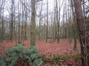 Zandhoven met Amelberga 112