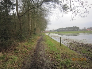 Zandhoven met Amelberga 115