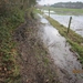 Zandhoven met Amelberga 116