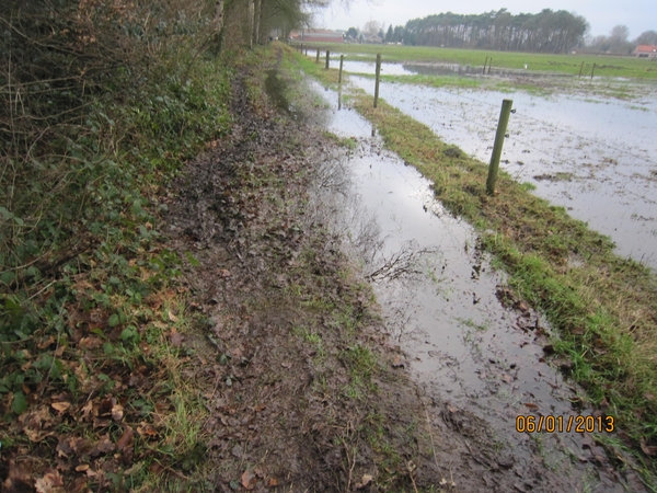 Zandhoven met Amelberga 116