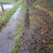 Zandhoven met Amelberga 117