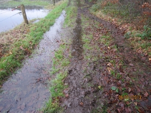 Zandhoven met Amelberga 117