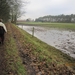 Zandhoven met Amelberga 118