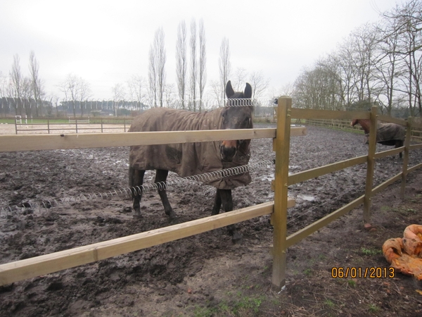 Zandhoven met Amelberga 128