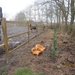 Zandhoven met Amelberga 129