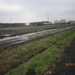 Zandhoven met Amelberga 131
