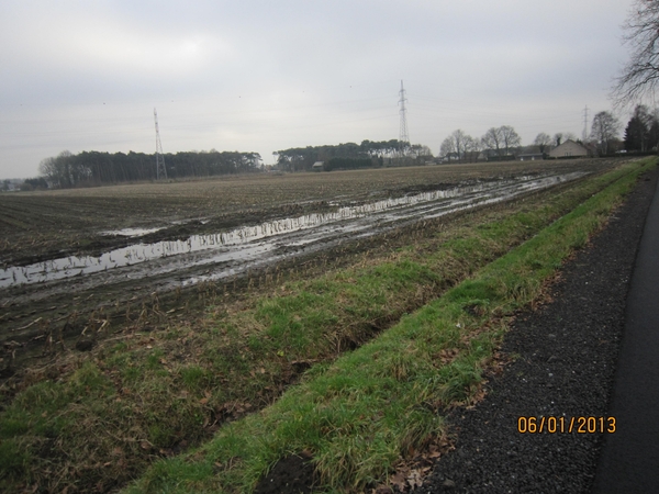 Zandhoven met Amelberga 131