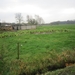 Zandhoven met Amelberga 135