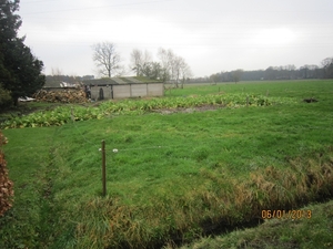 Zandhoven met Amelberga 135