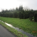 Zandhoven met Amelberga 136